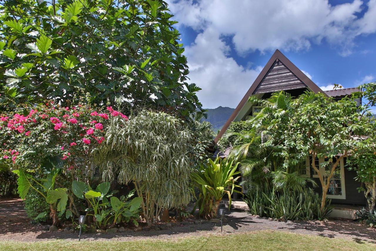 Fare Haurevaiti Moorea Paopao Екстериор снимка