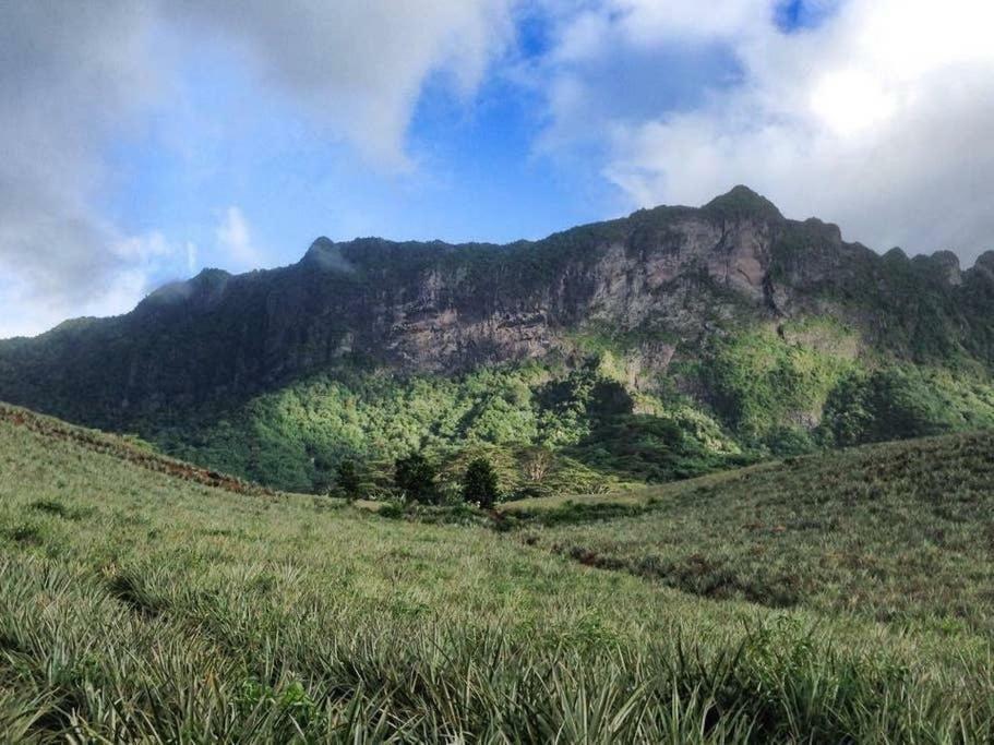 Fare Haurevaiti Moorea Paopao Екстериор снимка