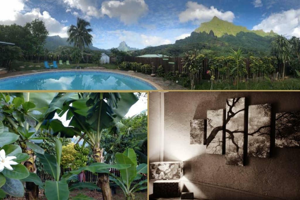 Fare Haurevaiti Moorea Paopao Екстериор снимка