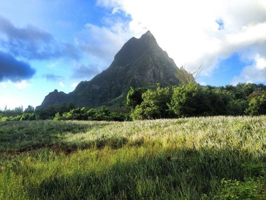 Fare Haurevaiti Moorea Paopao Екстериор снимка
