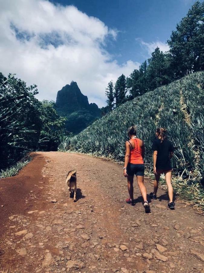 Fare Haurevaiti Moorea Paopao Екстериор снимка